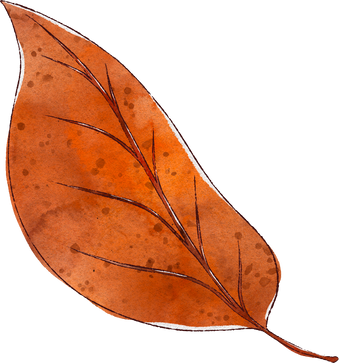 Splotchy Watercolor Fall Dried Poplar Leaf