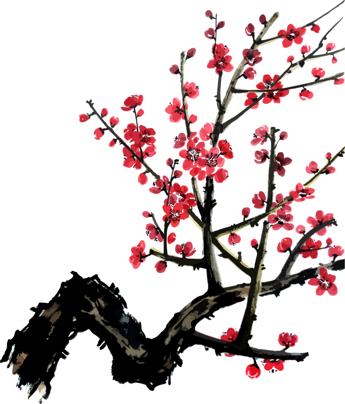 Watercolor illustration of branch of blossoming plum fruit tree.