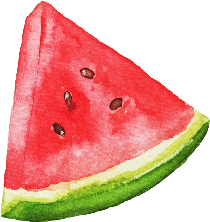 Watercolor Watermelon Slice Illustration